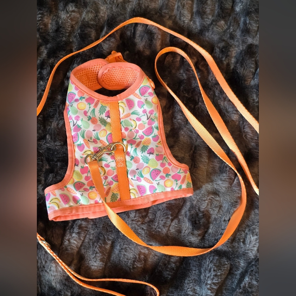 Fruit Harness & Leash